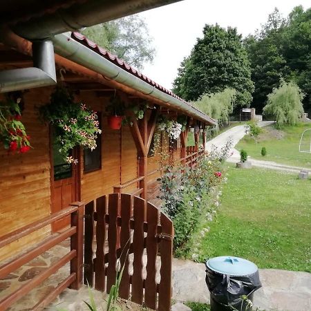Pensiunea La Busu -Bigar Bozovici Exterior photo