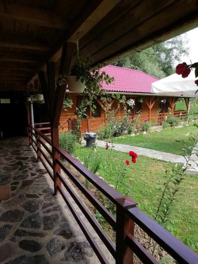 Pensiunea La Busu -Bigar Bozovici Exterior photo